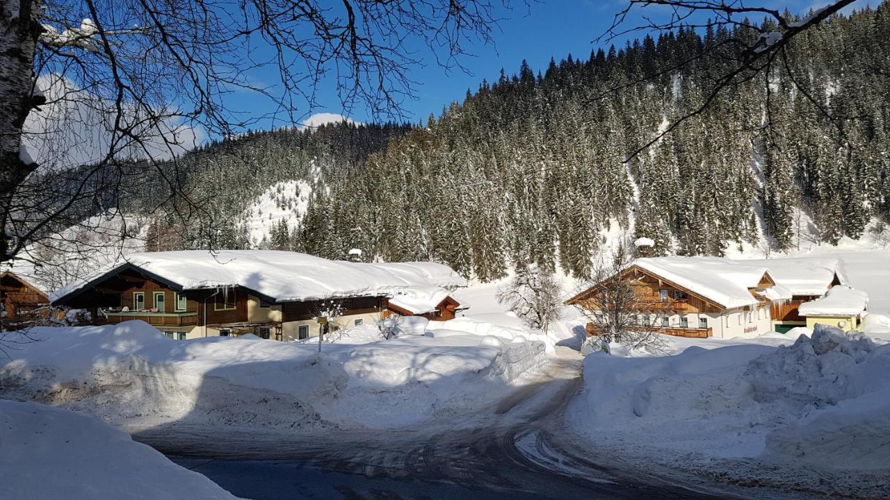 Bauernhof Krahlehenhof Villa Filzmoos Exterior foto